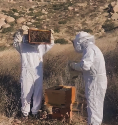 Cera de abeja